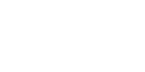 DIR-logo-white